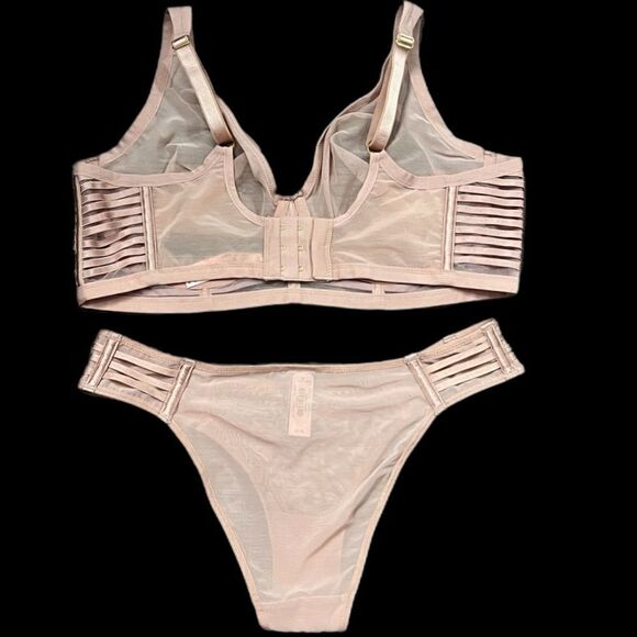 Victorias Secret Set Sexy Sheer Mesh Unlined Plunge bra & Cheekini panty 38DD /M - Picture 2 of 3